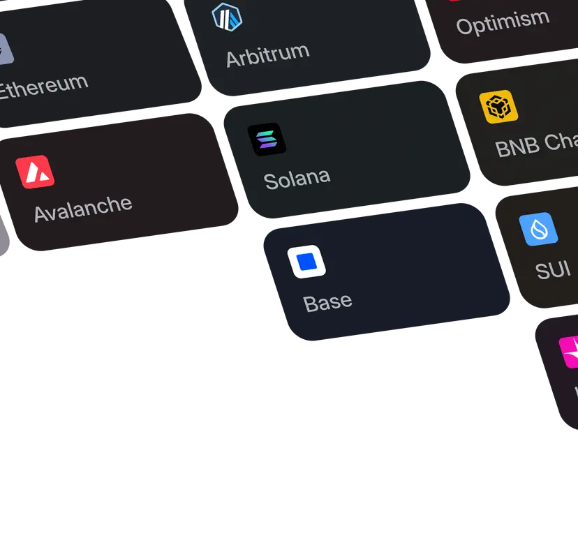 Supported blockchain networks including Ethereum, Solana, Arbitrum, Base, Avalanche and more